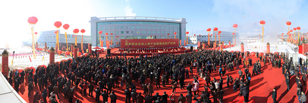 康美药业建成中国最大的人参产业园