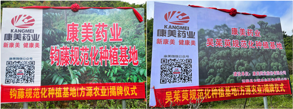 康美药业与沅陵县方源农业开发有限公司开展中药材规范化种植基地合作
