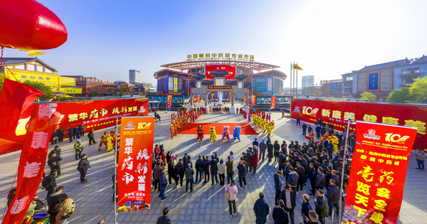 康美（亳州）中药城举行开业十周年庆典